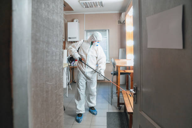 Biohazard Mold Removal in Suncook, NH