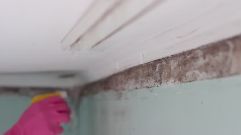 Mold Remediation for Rental Properties in Suncook, NH